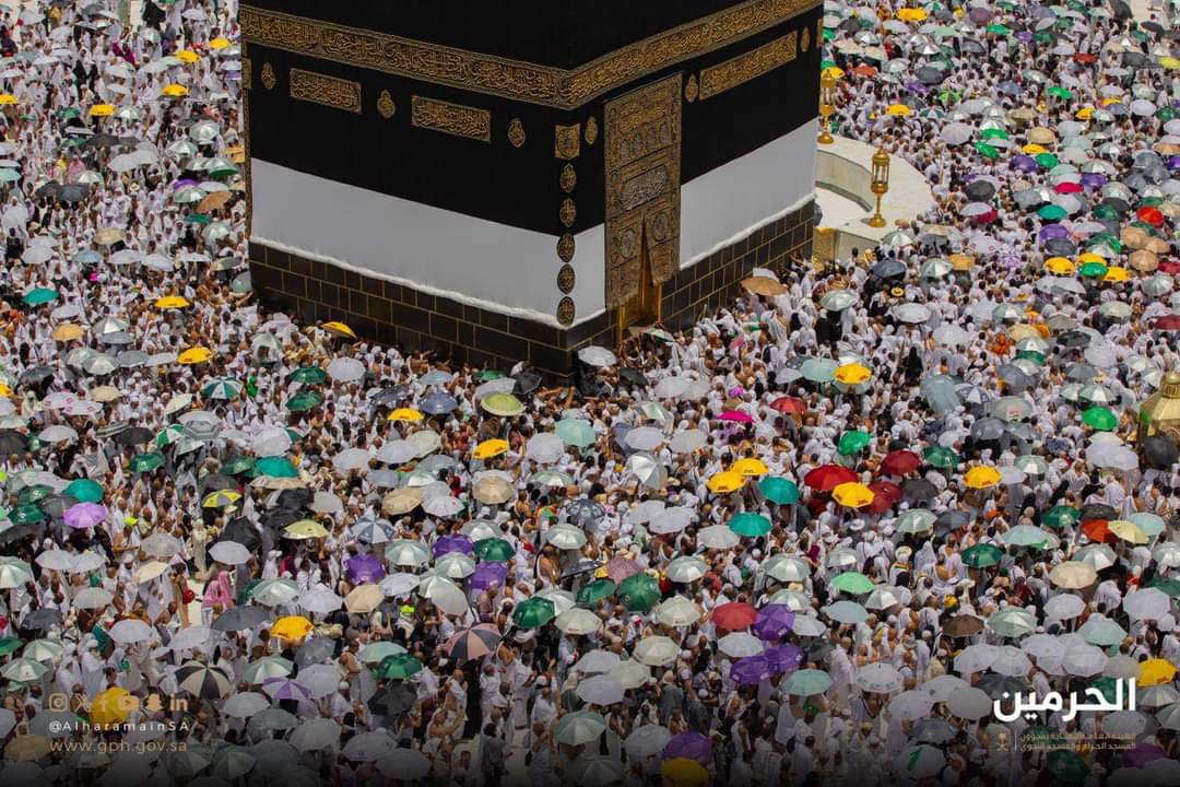 BREAKING NEWS: 1,301 Dead During Hajj Season, 83% Unauthorized - Minister of Health Reports